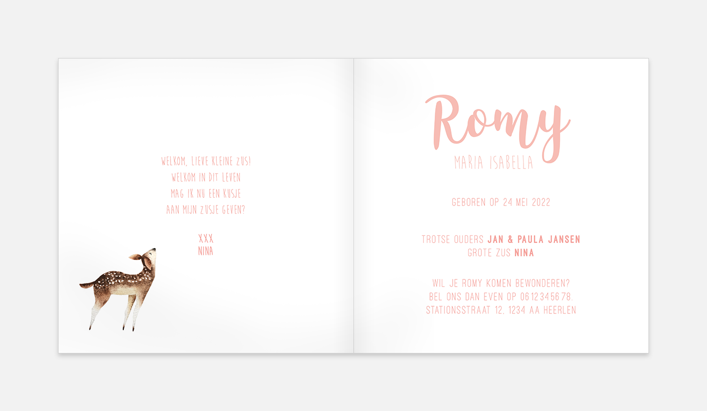 Lortye Geboortjekaartje 030a Romy