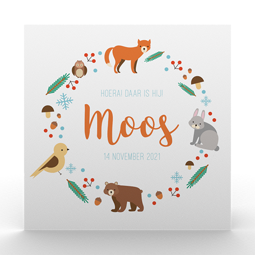 Lortye Geboortjekaartje 049a Moos
